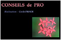 Conseils de pro